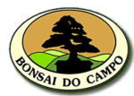 Bonsai do Campo